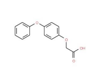 (4-phenoxyphenoxy)acetic acid (CAS 38559-90-9) - chemical structure image