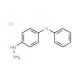 4-Phenoxyphenylhydrazine hydrochloride (CAS 60481-02-9) - chemical structure image