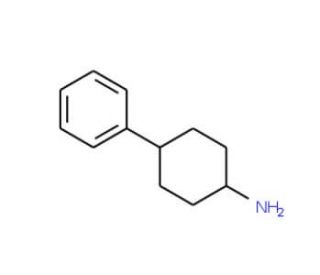 4-phenylcyclohexanamine (CAS 19992-45-1) - chemical structure image