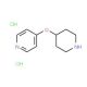 4-(Piperidin-4-yloxy)pyridine dihydrochloride (CAS 308386-36-9) - chemical structure image