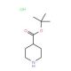 4-Piperidine carboxylic acid T-butyl ester HCl (CAS 892493-65-1) - chemical structure image
