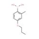 4-Propoxy-2-methylphenylboronic acid (CAS 956894-26-1) - chemical structure image