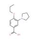 4-Propoxy-3-pyrrolidin-1-yl-benzoic acid - chemical structure image