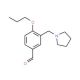 4-Propoxy-3-pyrrolidin-1-ylmethyl-benzaldehyde - chemical structure image