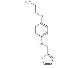 4-Propoxy-N-(2-thienylmethyl)aniline - chemical structure image