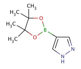 4-Pyrazoleboronic acid pinacol ester | CAS 269410-08-4