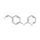 4-(Pyridin-2-yloxy)benzaldehyde (CAS 194017-69-1) - chemical structure image