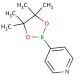 4-Pyridineboronic acid pinacol ester (CAS 181219-01-2) - chemical structure image