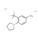 4-Pyrrolidin-1-yl-3-trifluoromethyl-phenylaminedihydrochloride - chemical structure image