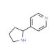 (±)-4-(Pyrrolidin-2-yl)pyridine (CAS 128562-25-4) - chemical structure image
