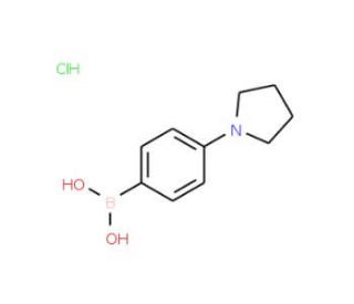 4-(Pyrrolidino)phenylboronic acid hydrochloride (CAS 229009-41-0) - chemical structure image