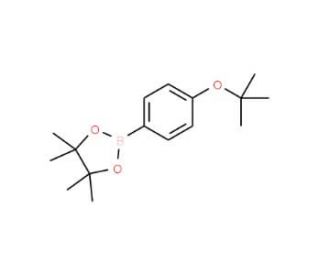 4-tert-Butoxybenzeneboronic acid, pinacol ester (CAS 938063-51-5) - chemical structure image