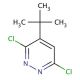 4-tert-Butyl-3,6-dichloropyridazine (CAS 22808-29-3) - chemical structure image