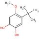 4-tert-Butyl-5-methoxy-catechol (CAS 91352-66-8) - chemical structure image