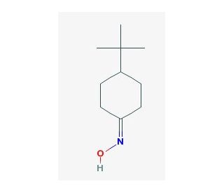 4-(tert-Butyl)cyclohexanone oxime (CAS 4701-98-8) - chemical structure image