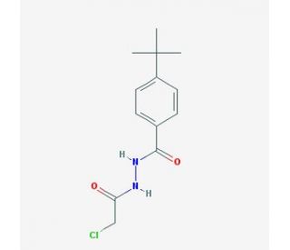 4-tert-butyl-N&prime;-(chloroacetyl)benzohydrazide - chemical structure image