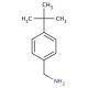 4-tert-Butylbenzylamine (CAS 39895-55-1) - chemical structure image
