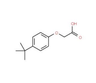 4-tert-Butylphenoxyacetic acid (CAS 1798-04-5) - chemical structure image