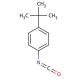 4-tert-Butylphenyl isocyanate (CAS 1943-67-5) - chemical structure image