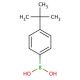 4-tert-Butylphenylboronic acid (CAS 123324-71-0) - chemical structure image