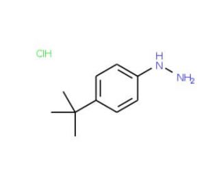 4-tert-Butylphenylhydrazine hydrochloride (CAS 128231-55-0) - chemical structure image