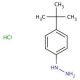 4-tert-Butylphenylhydrazine monohydrochloride (CAS 36600-66-5) - chemical structure image