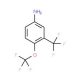 4-Trifluoromethoxy-3-trifluoromethyl-phenylamine (CAS 104678-68-4) - chemical structure image