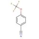 4-(Trifluoromethoxy)benzonitrile (CAS 332-25-2) - chemical structure image