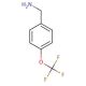 4-(Trifluoromethoxy)benzylamine (CAS 93919-56-3) - chemical structure image