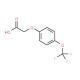 4-(Trifluoromethoxy)phenoxyacetic acid (CAS 72220-50-9) - chemical structure image