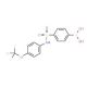 4-(Trifluoromethoxy)phenyl 4-boronobenzenesulphonamide (CAS 957062-98-5) - chemical structure image