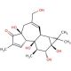 4α-Phorbol - chemical structure image
