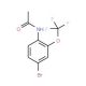 4′-Bromo-2′-(trifluoromethoxy)acetanilide (CAS 175278-18-9) - chemical structure image