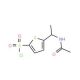 5-(1-acetamidoethyl)thiophene-2-sulfonyl chloride - chemical structure image
