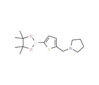 5-(1-Pyrrolidinylmethyl)thiophene-2-boronic acid pinacol ester (CAS 1218790-45-4) - chemical structure image