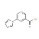 5-(1H-Pyrrol-1-yl)pyridine-3-carboxylic acid (CAS 690632-31-6) - chemical structure image
