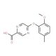 5-(2-methoxy-5-methylphenoxy)pyrazine-2-carboxylic acid - chemical structure image