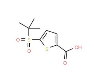 5-(2-Methyl-propane-2-sulfonyl)-thiophene-2-carboxylic acid - chemical structure image