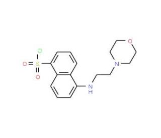 5-(2-Morpholin-4-yl-ethylamino)-naphthalene-1-sulfonyl chloride - chemical structure image