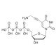 5-(3-Amino-1-propyn-1-yl)-2′-deoxyuridine 5′-(Tetrahydrogen Triphosphate) (CAS 179101-49-6) - chemical structure image