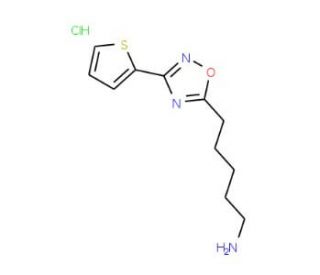 5-(3-thien-2-yl-1,2,4-oxadiazol-5-yl)pentan-1-amine hydrochloride - chemical structure image