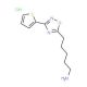 5-(3-thien-2-yl-1,2,4-oxadiazol-5-yl)pentan-1-amine hydrochloride - chemical structure image
