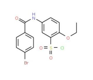 5-(4-Bromobenzoylamino)-2-ethoxybenzenesulfonyl chloride (CAS 680617-92-9) - chemical structure image