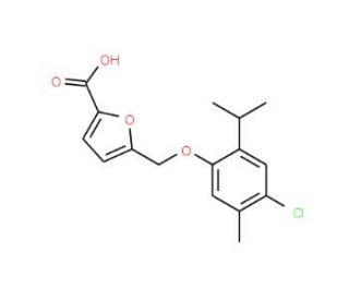 5-(4-Chloro-2-isopropyl-5-methyl-phenoxymethyl)-furan-2-carboxylic acid - chemical structure image