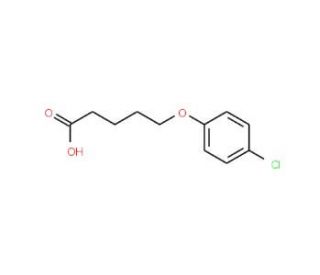 5-(4-Chloro-phenoxy)-pentanoic acid - chemical structure image