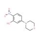 5-(4-Morpholinyl)-2-nitrophenol (CAS 175135-19-0) - chemical structure image