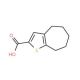 5,6,7,8-Tetrahydro-4H-cyclohepta[b]thiophene-2-carboxylic acid (CAS 40133-08-2) - chemical structure image