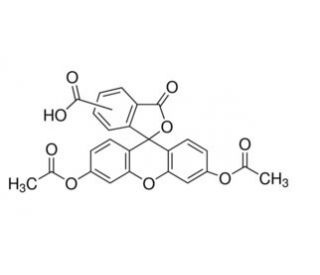 5(6)-Carboxyfluorescein diacetate (CAS 124387-19-5) - chemical structure image