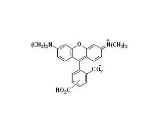 5(6)-Carboxytetramethylrhodamine (CAS 98181-63-6) - chemical structure image 