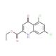 5,7-Dichloro-4-hydroxy-quinoline-2-carboxylic acid ethyl ester (CAS 157848-08-3) - chemical structure image